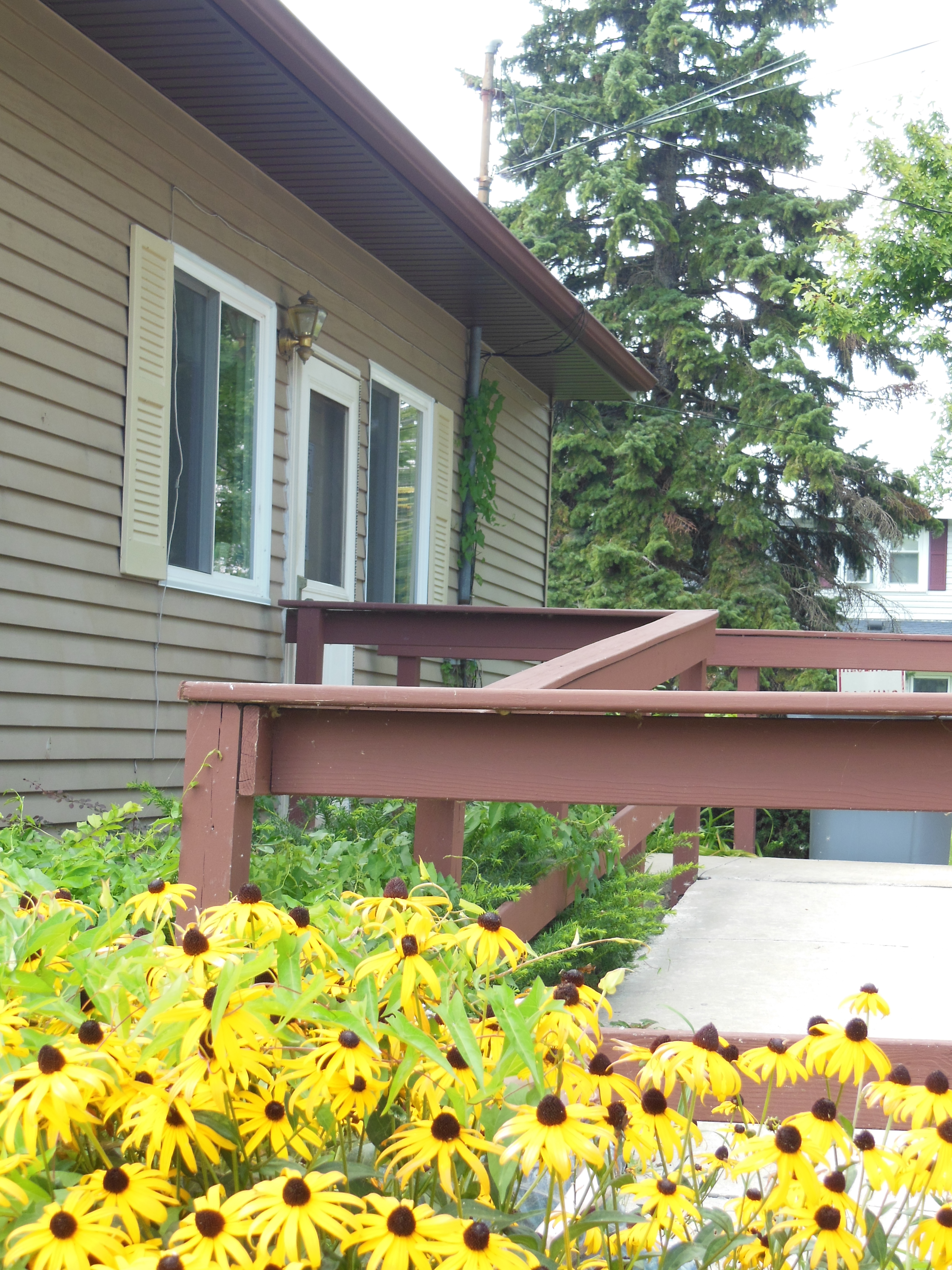 Rasey Memorial Branch Library