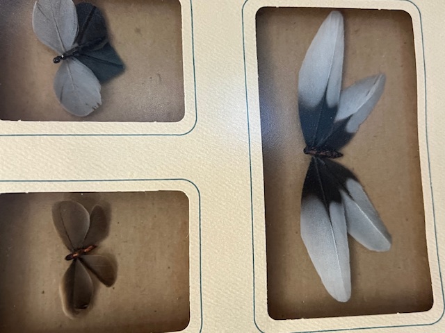 Picture of the butterflies made from bird feathers