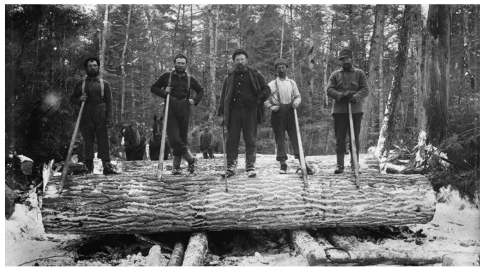 Lumberjacks standing on a large log