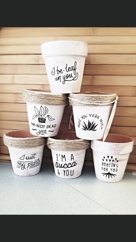 small clay pots with punny sayings 