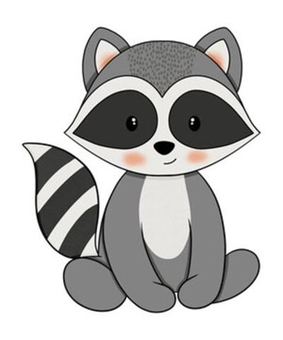 raccoon