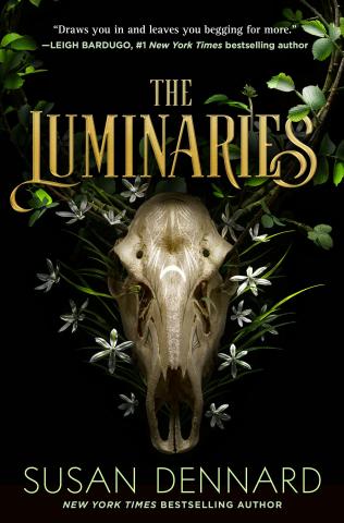 Book cover, The Luminaries. 