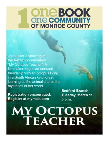 My Octopus Teacher movie