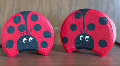 Ladybugs