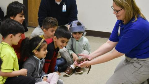 Metroparks Reptiles
