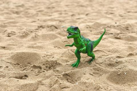 Picture of a dinosaur in sand
