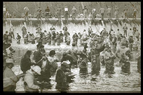 black and white fishing picture