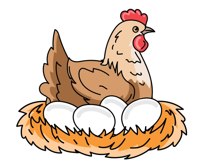Chicken sitting on eggs