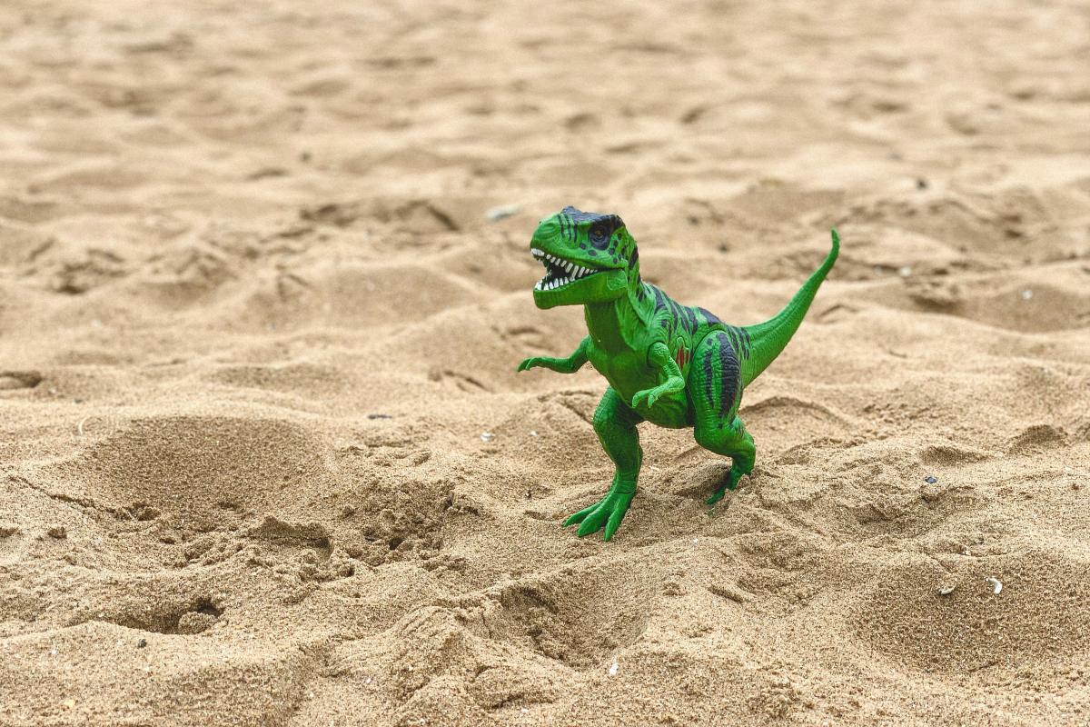Picture of a dinosaur in sand